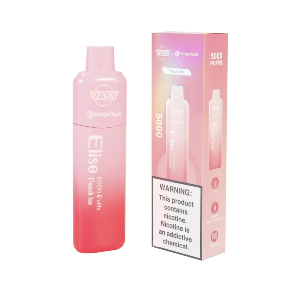 Vasy Elise 5000 Puffs 21