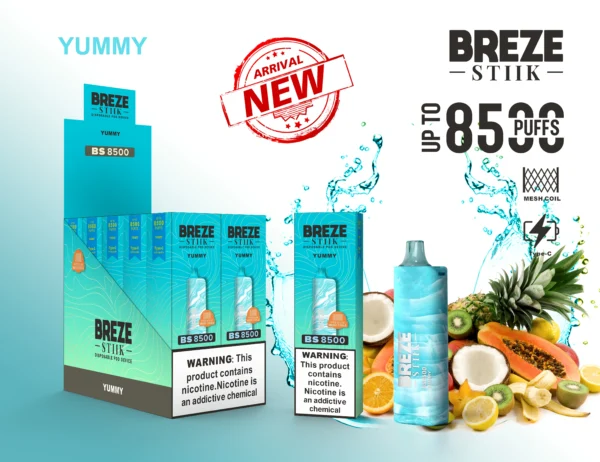 BREZE STIIK BS8500 8500 Puffs 13 scaled