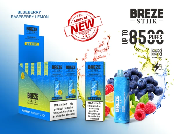 BREZE STIIK BS8500 8500 Puflar 2 ölçekli