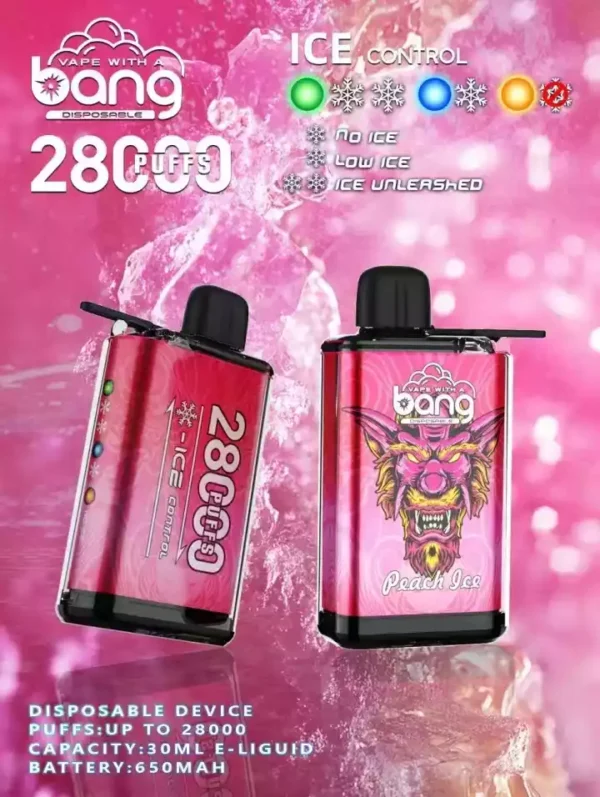 Bang 28000 Puff