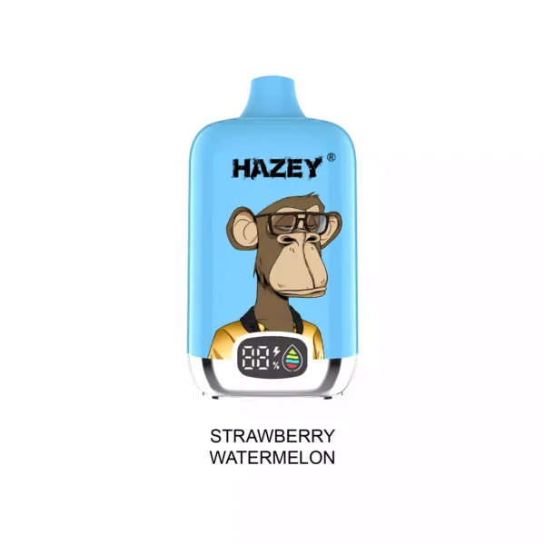 Best Value Hazey D195 18000 Puffs Disposable Vape With Mesh Coil And Nicotine Choices