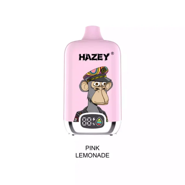 Best Value Hazey D195 18000 Puffs Disposable Vape With Mesh Coil And Nicotine Choices