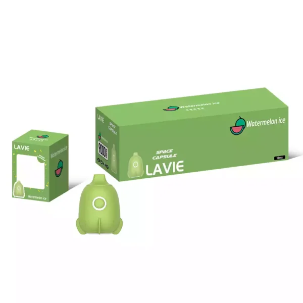 High Performance Lavie Astronaut 9000 Puffs Vape Device Type C Charging with Salt Nicotine Options