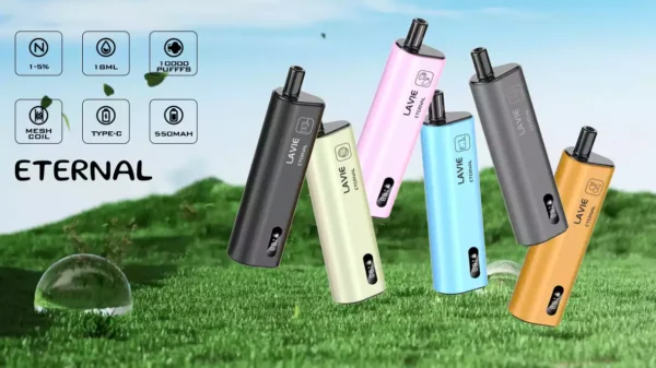 High Quality LAVIE Eternal 10000 Puffs Vape Pod with 2 Percent or 5 Percent Salt Nicotine and OEM Support