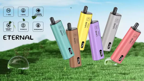 High Quality LAVIE Eternal 10000 Puffs Vape Pod with 2 Percent or 5 Percent Salt Nicotine and OEM Support