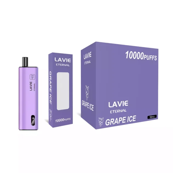 High Quality LAVIE Eternal 10000 Puffs Vape Pod with 2 Percent or 5 Percent Salt Nicotine and OEM Support