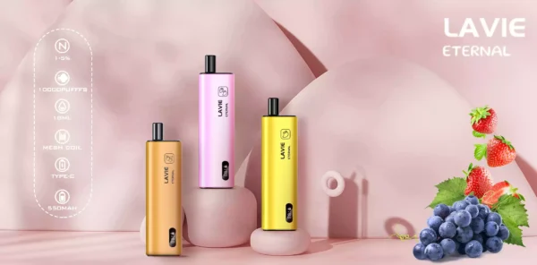 High Quality LAVIE Eternal 10000 Puffs Vape Pod with 2 Percent or 5 Percent Salt Nicotine and OEM Support