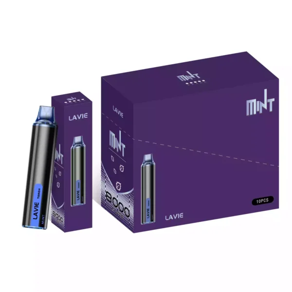 High Quality LAVIE Torch 6000 Puffs Disposable Vape with 2% and 5% Salt Nicotine