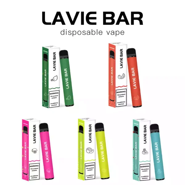 High Quality Lavie Bar 800 Puffs with 600 Puffs Battery 450mAh and 32ml Eliquid Salt Nic 2 Percent and 5 Percent OEM