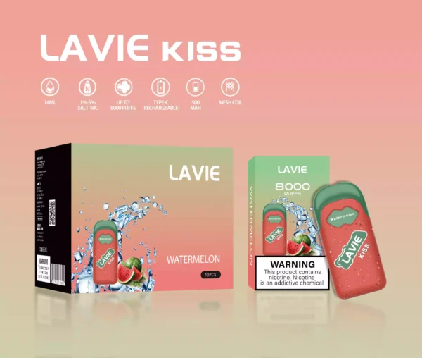 High Quality Wholesale LAVIE KISS 8000 Puffs 1pod Battery Salt Nic 2 Percent 5 Percent OEM Mesh Coil Rechargeable Type C